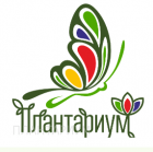 Планетариум