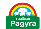 Грибная радуга