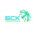 Башкирская содовая компания (БСК)