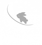 OrthoSleep