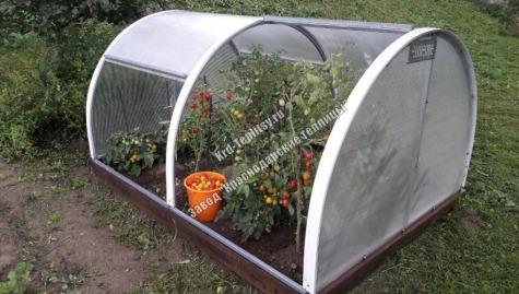 Сборная мини-теплица "GreenHouse" в коробке